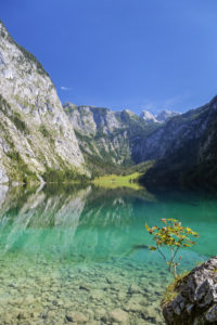 Obersee oberhalb vom Königssee, Schönau, Berchtesgadener Land, Oberbayern, Bayern, Süddeutschland, Deutschland, Europa Obersee oberhalb vom Königssee, Schönau, Berchtesgadener Land, Oberbayern, Bayern, Süddeutschland, Deutschland, Europa